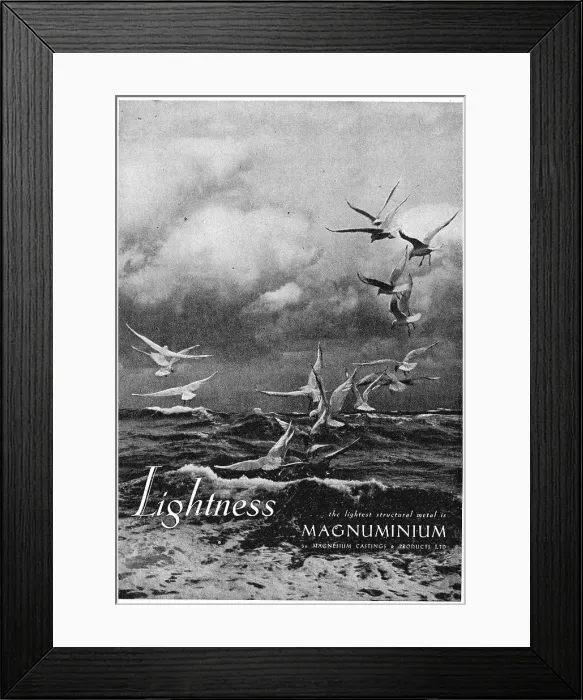 Framed Print : 13888868 Framed Print : 13888868