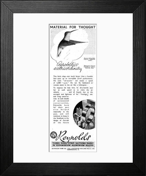 Framed Print : 13889322 Framed Print : 13889322