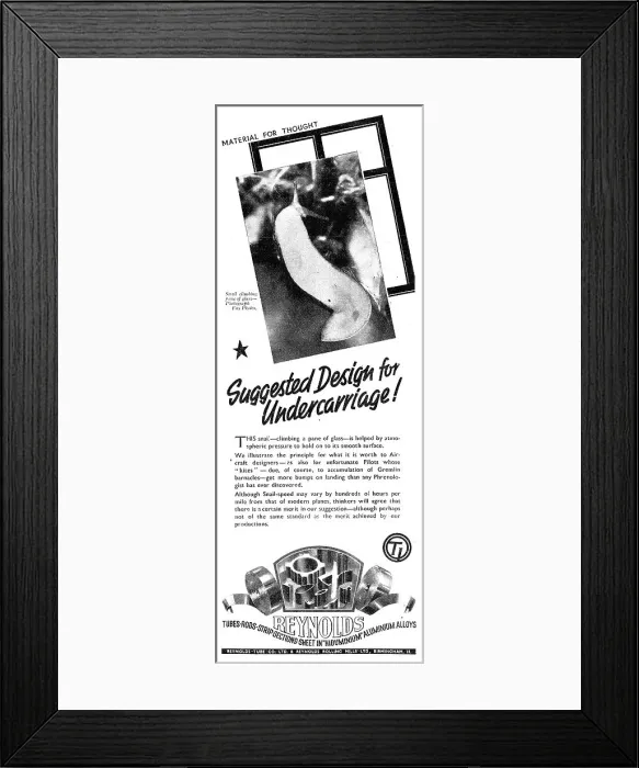 Framed Print : 13889326 Framed Print : 13889326
