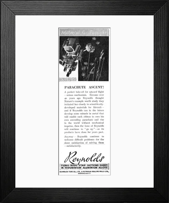 Framed Print : 13889316 Framed Print : 13889316