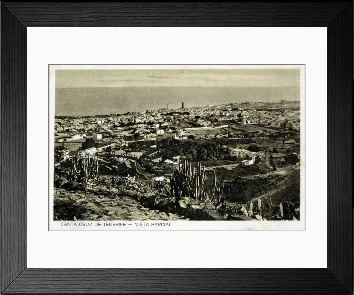 Framed Print : Canary Islands - Santa Cruz de Tenerife Framed Print : Canary Islands - Santa Cruz de Tenerife