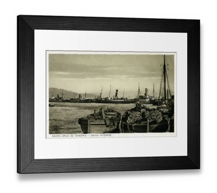 Framed Print : Canary Islands - Canary Islands - The Port, Santa Cruz de Te Framed Print : Canary Islands - Canary Islands - The Port, Santa Cruz de Te