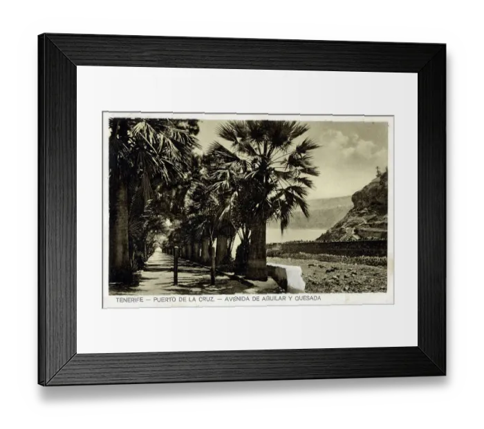 Framed Print : Puerto de la Cruz, Tenerife - Avenida de Aguilar y Quesada Framed Print : Puerto de la Cruz, Tenerife - Avenida de Aguilar y Quesada
