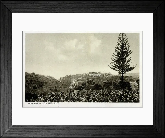 Framed Print : Canary Islands - Tenerife - Los Realejos Framed Print : Canary Islands - Tenerife - Los Realejos