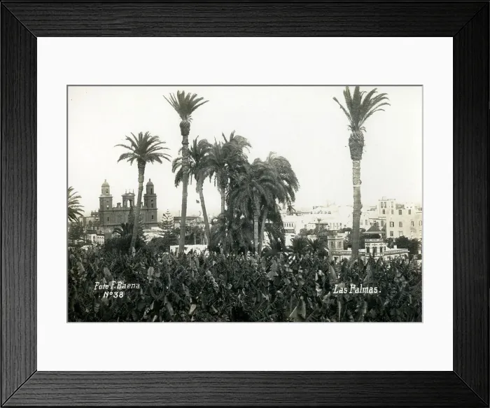 Framed Print : Canary Islands - Las Palmas Framed Print : Canary Islands - Las Palmas