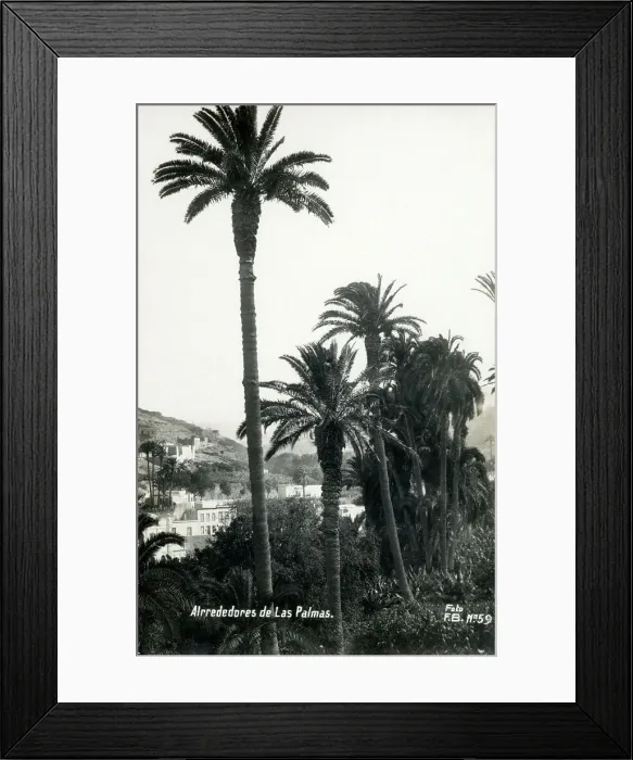 Framed Print : Canary Islands - Canary Islands - The surroundings of Las Pa Framed Print : Canary Islands - Canary Islands - The surroundings of Las Pa