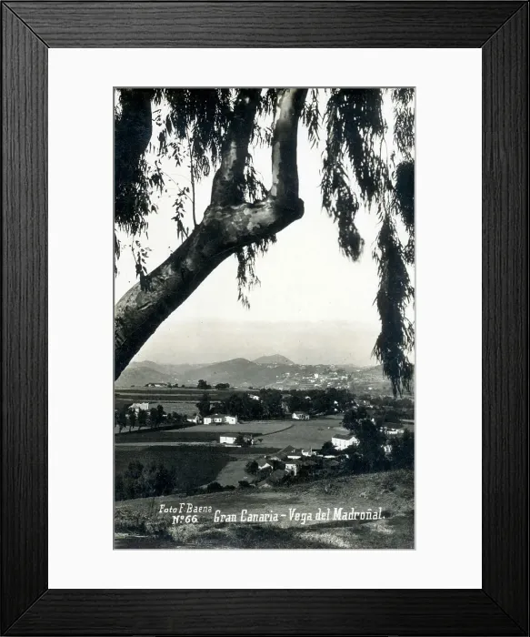 Framed Print : Canary Islands - Gran Canaria - Vega del Madronal Framed Print : Canary Islands - Gran Canaria - Vega del Madronal