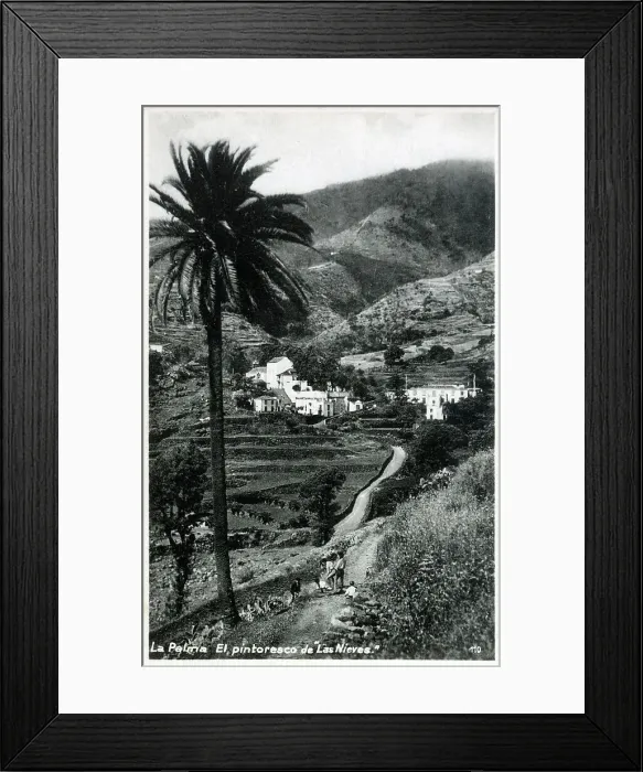 Framed Print : Canary Islands Framed Print : Canary Islands
