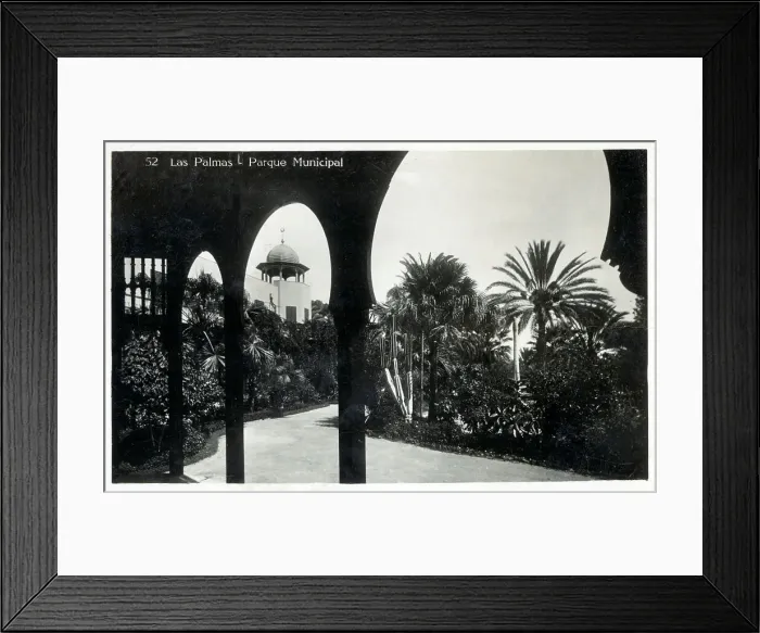 Framed Print : Canary Islands - Las Palmas, Gran Canaria, Municipal Park Framed Print : Canary Islands - Las Palmas, Gran Canaria, Municipal Park