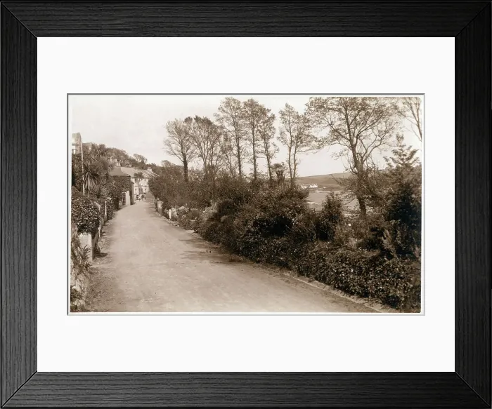 Framed Print : St Mawes, Cornwall - Country road along the shoreline Framed Print : St Mawes, Cornwall - Country road along the shoreline