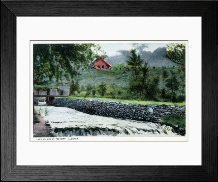 Framed Print : Harwan Trout Fishery, Kashmir, India