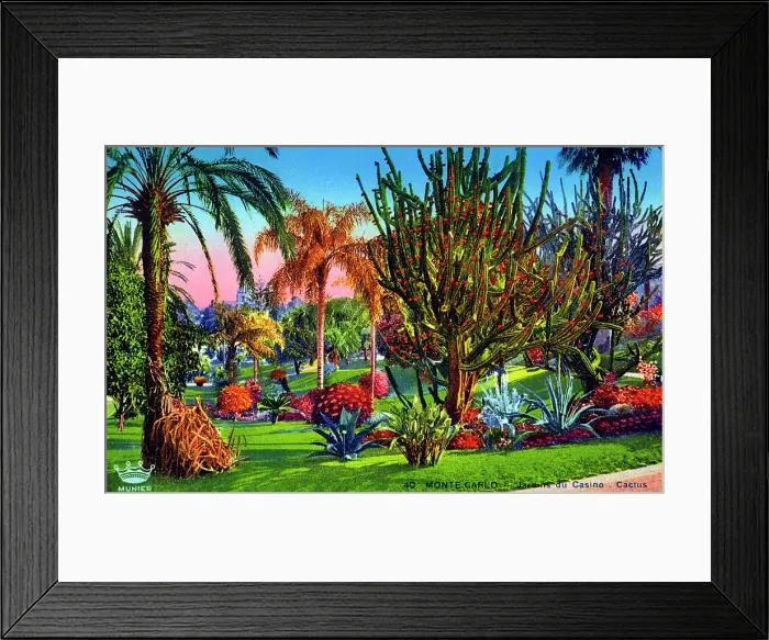 Framed Print : Cactii in the Gardens of the Casino, Monte Carlo Framed Print : Cactii in the Gardens of the Casino, Monte Carlo