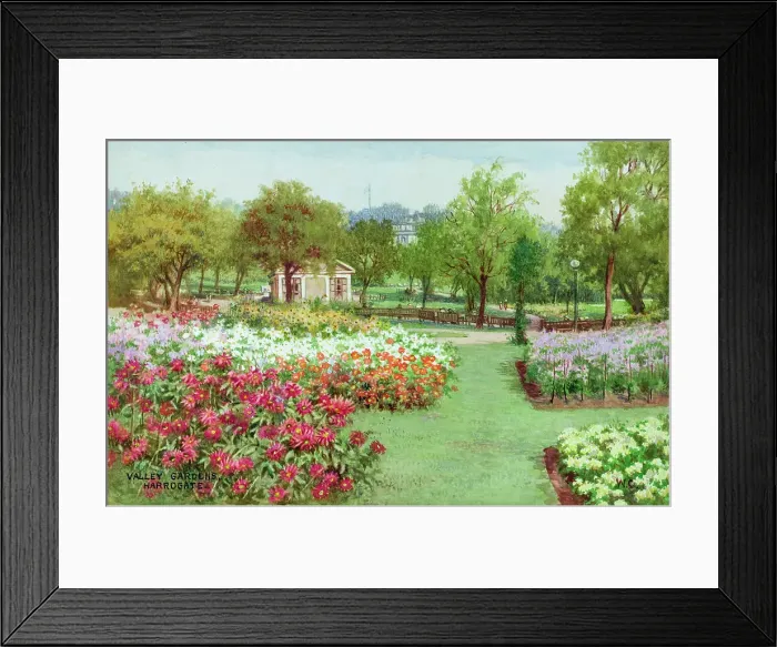 Framed Print : Valley Gardens, Harrogate, Yorkshire Framed Print : Valley Gardens, Harrogate, Yorkshire