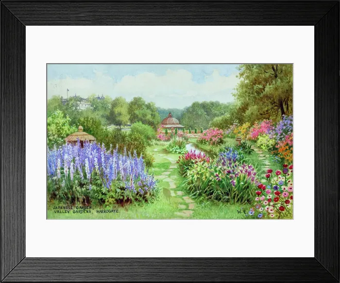 Framed Print : Japanese Garden, Valley Gardens, Harrogate, Yorkshire Framed Print : Japanese Garden, Valley Gardens, Harrogate, Yorkshire