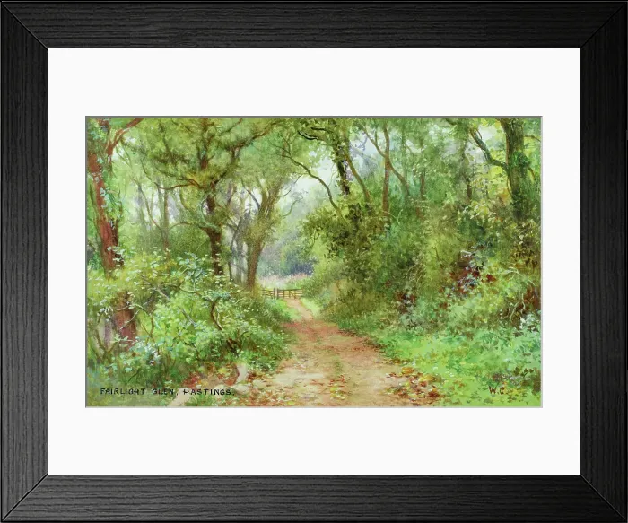 Framed Print : Fairlight Glen, Hastings, East Sussex Framed Print : Fairlight Glen, Hastings, East Sussex