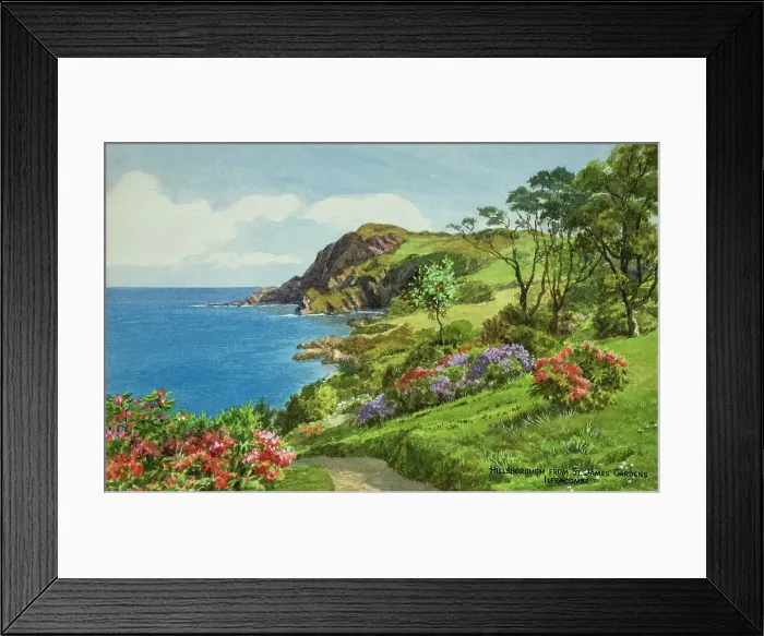 Framed Print : St James Gardens and Hillsborough, Ilfracombe, North Devon Framed Print : St James Gardens and Hillsborough, Ilfracombe, North Devon