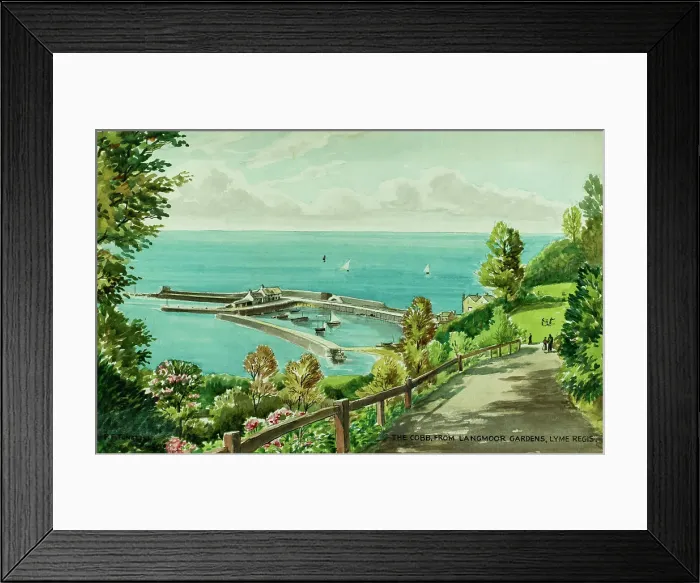 Framed Print : The Cobb from Langmoor Gardens, Lyme Regis, Dorset Framed Print : The Cobb from Langmoor Gardens, Lyme Regis, Dorset