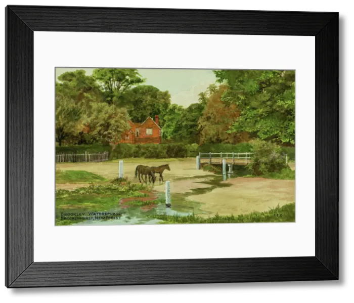 Framed Print : Brookley Watersplash, Brockenhurst, New Forest, Hampshire Framed Print : Brookley Watersplash, Brockenhurst, New Forest, Hampshire