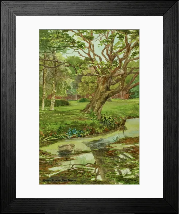 Framed Print : Queen's Bower, New Forest, Hampshire Framed Print : Queen's Bower, New Forest, Hampshire