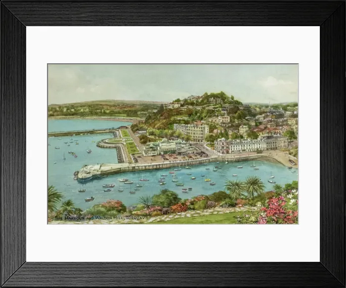 Framed Print : The Harbour and Waldon Hill, Torquay, Devon Framed Print : The Harbour and Waldon Hill, Torquay, Devon