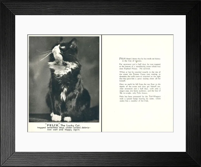 Framed Print : WW2 Christmas Card, Felix The Lucky Cat Framed Print : WW2 Christmas Card, Felix The Lucky Cat