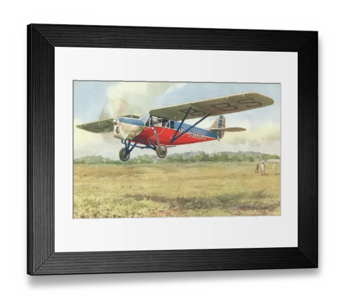 Framed Print : Puss Moth Aeroplane Framed Print : Puss Moth Aeroplane