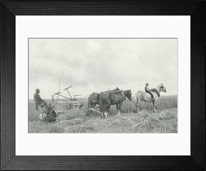 Framed Print : Reaping Machine Framed Print : Reaping Machine