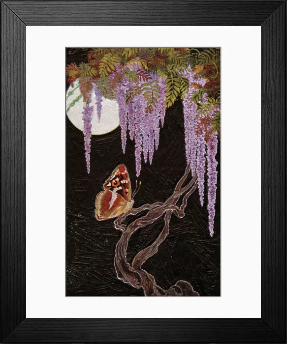 Framed Print : A moonlight butterfly on Wisteria Framed Print : A moonlight butterfly on Wisteria