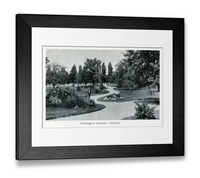 Framed Print : Adelaide, Australia - Pennington Gardens Framed Print : Adelaide, Australia - Pennington Gardens