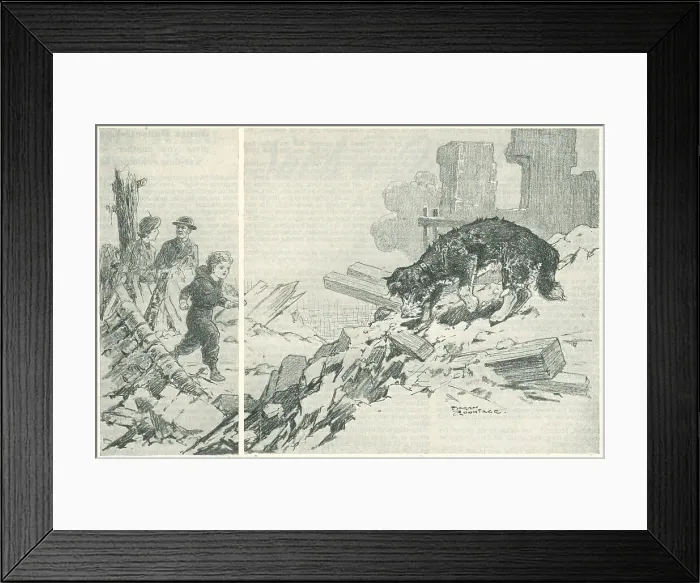 Framed Print : WW2 - Paddy Finds A Family Framed Print : WW2 - Paddy Finds A Family