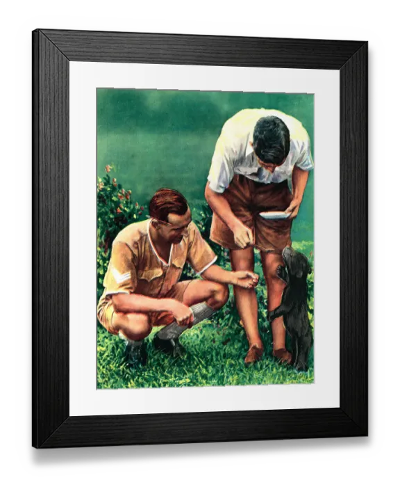 Framed Print : WW2 - A Singapore Mascot Of The R. A. F Framed Print : WW2 - A Singapore Mascot Of The R. A. F