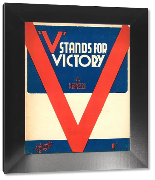 V Stands For Victory Music Cover