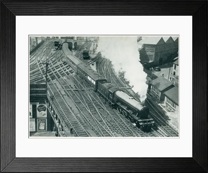 Framed Print : 2577 Night Hawk Framed Print : 2577 Night Hawk