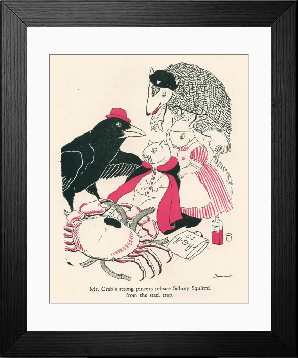 Framed Print : Alican Land, Sidney Squirrel Framed Print : Alican Land, Sidney Squirrel