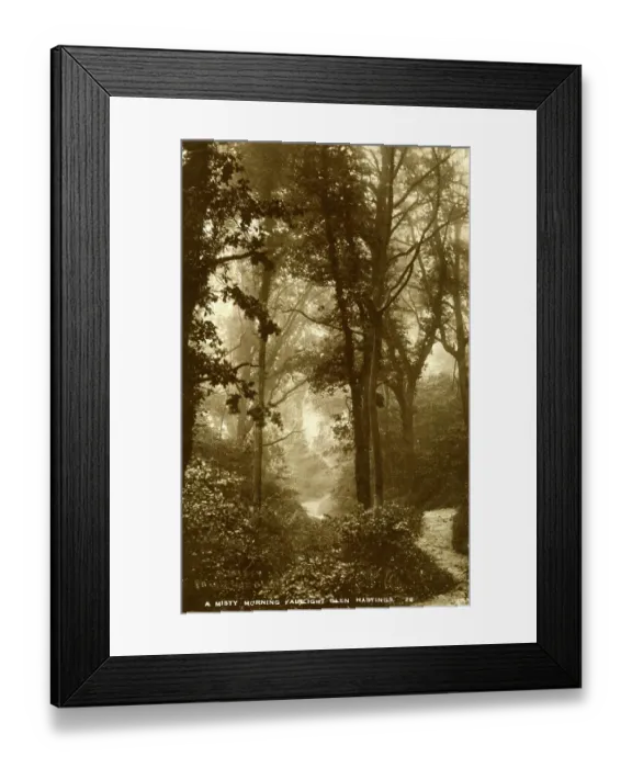 Framed Print : A Misty Morning, Fairlight Glen, Hastings, Sussex Framed Print : A Misty Morning, Fairlight Glen, Hastings, Sussex