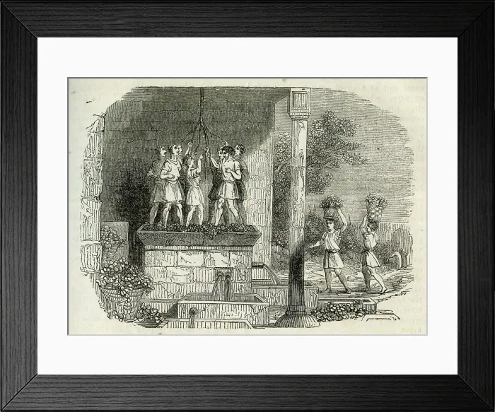 Framed Print : Ancient wine press, treading the grapes Framed Print : Ancient wine press, treading the grapes