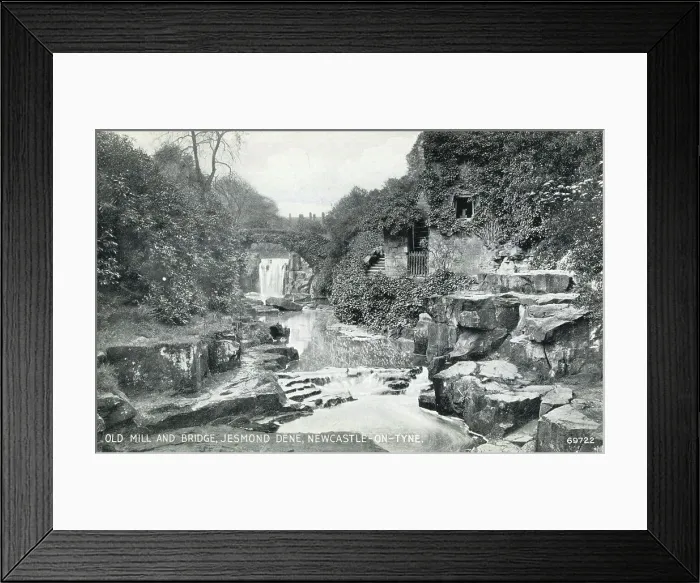 Framed Print : Old Mill and Bridge, Jesmond Dene, Newcastle-on-Tyne Framed Print : Old Mill and Bridge, Jesmond Dene, Newcastle-on-Tyne