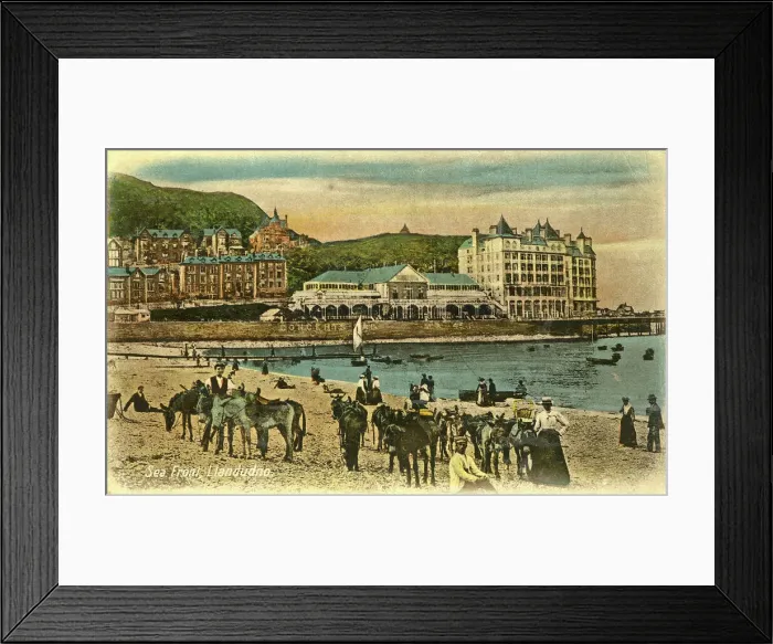 Framed Print : Sea front with donkey rides, Llandudno, Wales Framed Print : Sea front with donkey rides, Llandudno, Wales