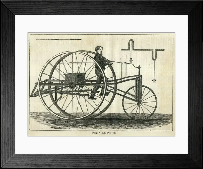 Framed Print : The Aellopodes Velocipede