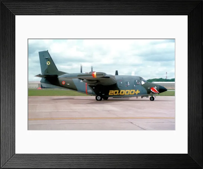 Framed Print : Piaggio P-166DL-3 MM25157 - 303-24 Framed Print : Piaggio P-166DL-3 MM25157 - 303-24