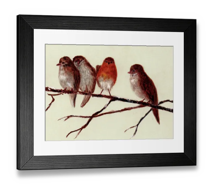Framed Print : Hand painted illustration of robins by an unknown artist Framed Print : Hand painted illustration of robins by an unknown artist