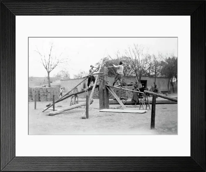 Framed Print : Sawing wood, China, early 1900s Framed Print : Sawing wood, China, early 1900s