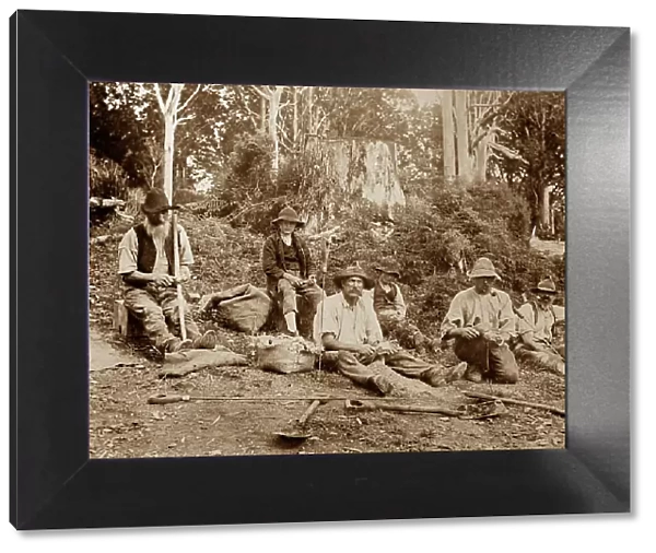 Gum tree scrapers, New Zealand, Victorian period