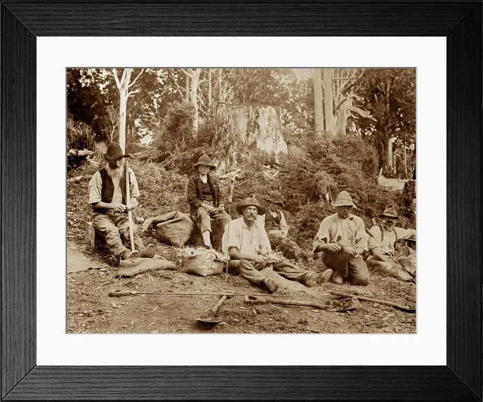 Framed Print : Gum tree scrapers, New Zealand, Victorian period Framed Print : Gum tree scrapers, New Zealand, Victorian period