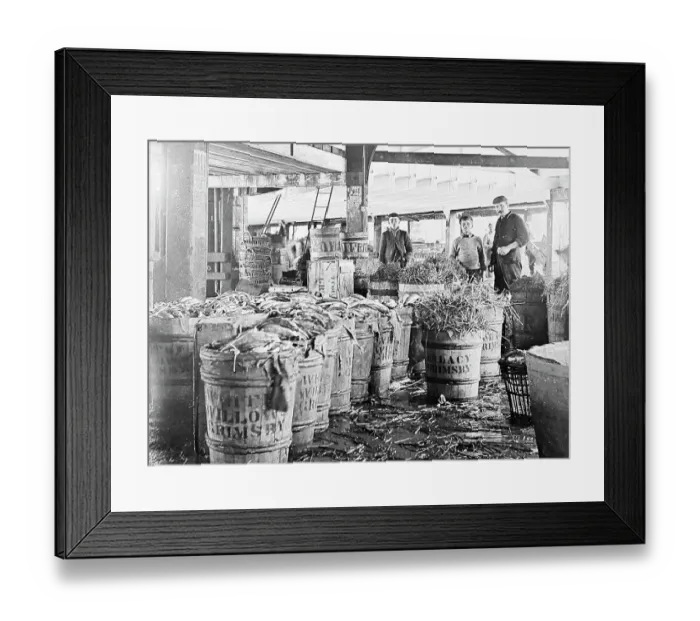 Framed Print : Fish packing shed, Grimsby, Victorian period Framed Print : Fish packing shed, Grimsby, Victorian period