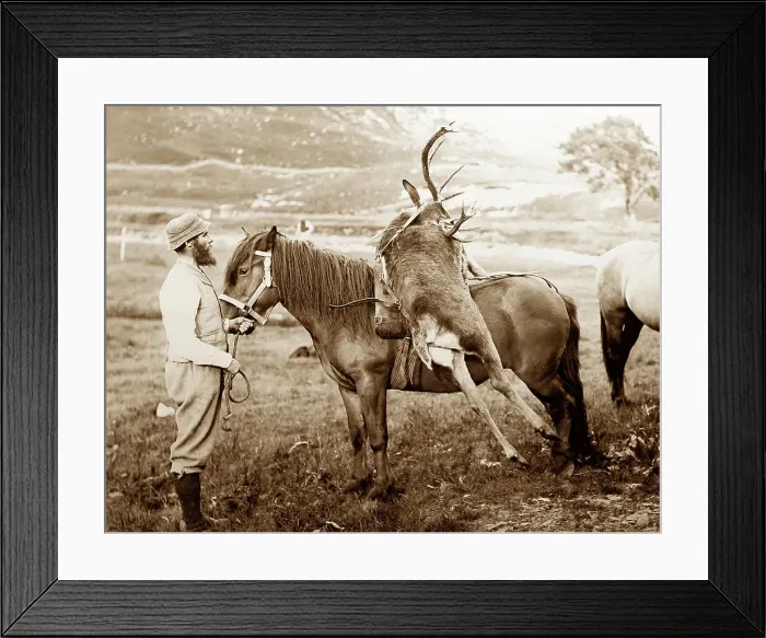 Framed Print : Stag hunting in Scotland, Victorian period