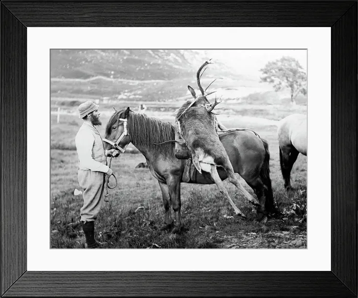 Framed Print : Stag hunting in Scotland, Victorian period Framed Print : Stag hunting in Scotland, Victorian period