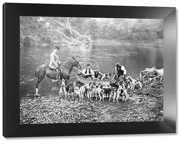 Hunting otters with hounds, Victorian period