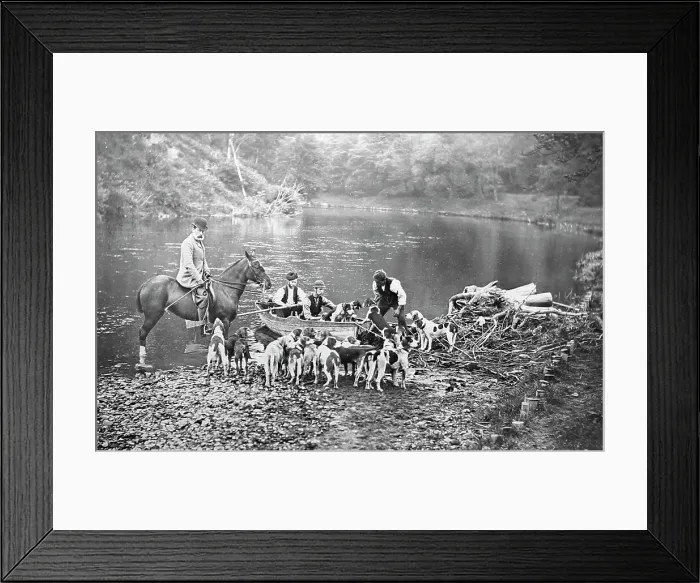 Framed Print : Hunting otters with hounds, Victorian period Framed Print : Hunting otters with hounds, Victorian period