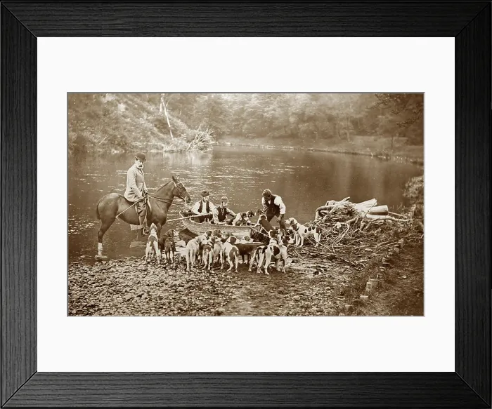 Framed Print : Hunting otters with hounds, Victorian period Framed Print : Hunting otters with hounds, Victorian period